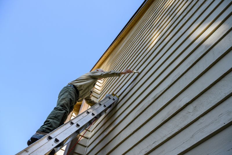 Siding and Cladding Painting
